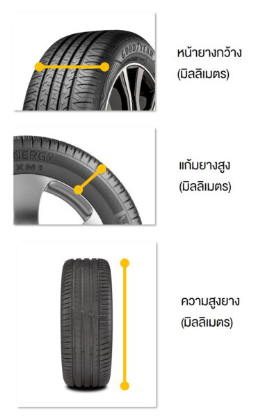 ขนาด ความกว้าง ยางรถยนต์